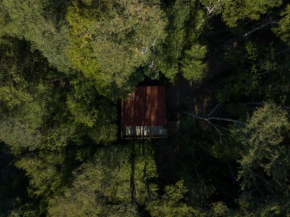 Hermoso Lodge Inserto en Bosque Andino Pucón